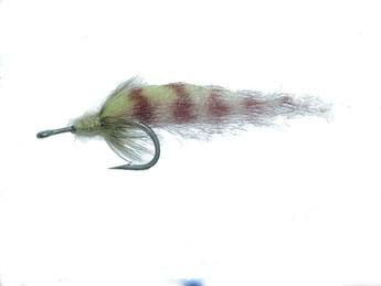 Tarpon Worm Tarpon Fly