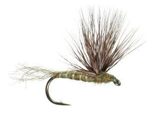 Sparkle Dun Dry Fly