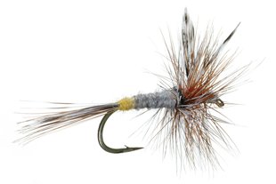 Female Adams Dry Fly