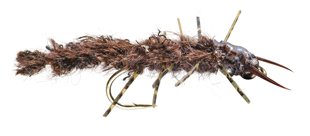 Fly of the Month Club-Rag Hellgrammite Tungsten Bead Head Fly