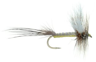 Hex Spinner Dry Fly