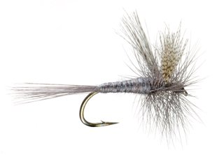 Hendrickson Dry Fly