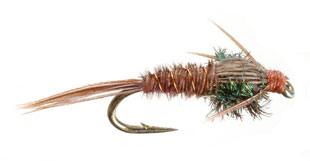 Pheasant Tail Nymph