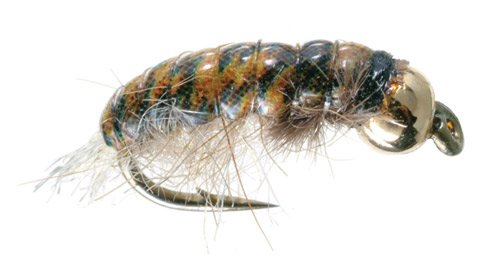 Net Builder Caddis