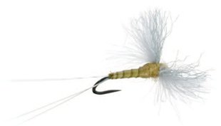 CDC Biot Spinner Fly