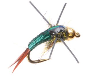 Rubber Leg Copper John Tungsten Bead Head Nymph