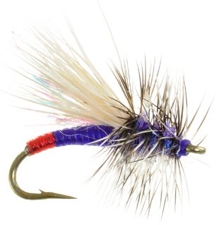 Mini Hot, Garcia's Dry Fly