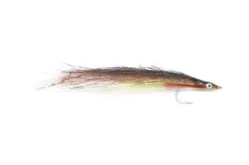 American Eel Fly