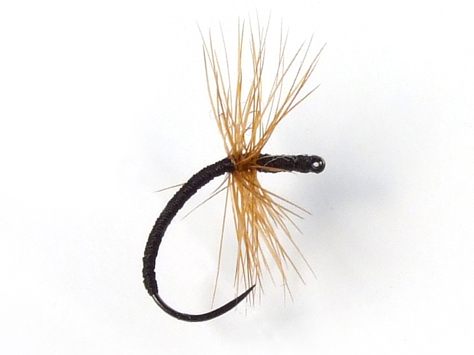 Ishigaki Kebari - Reverse Hackle/Ginger, C15-BV Hook