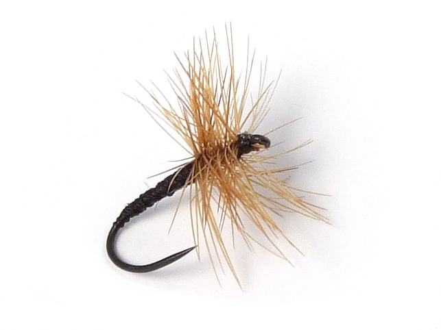 Ishigaki Kebari - Reverse Hackle/Ginger, R10-BN Hook