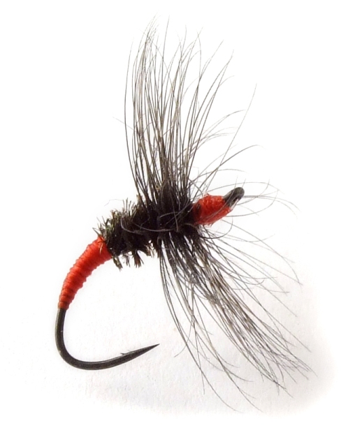 Akiyamago Hayashi Kebari - Reverse Hackle/Red Silk, C13-U Hook