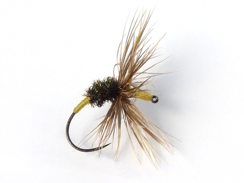 Akiyamago Hayashi Kebari - Reverse Hackle/Yellow Silk, C15-BV Hook