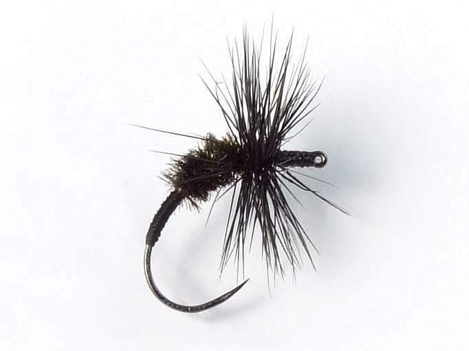 Akiyamago Hayashi Kebari - Reverse Hackle/Black Silk, C15-BV Hook