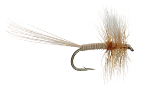 A.K.'s PMD Quill