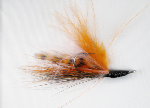 Albright Shrimp Fly