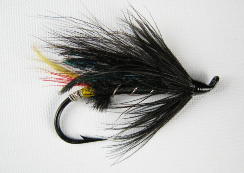 Black Dose Hairwing Salmon Fly