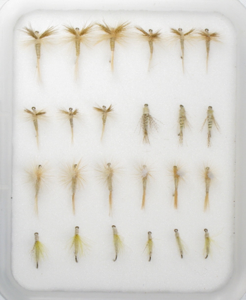 CDC Emerger Fly <br /> #16 - Cahill