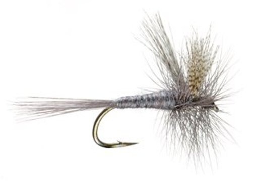 Callibatis Dun Dry Fly