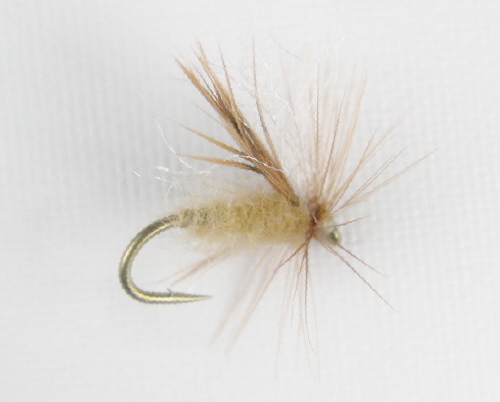 Diving Caddis Dry Fly