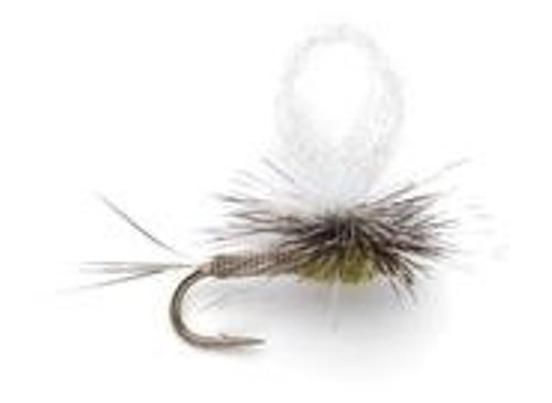 Loopwing Paradun Dry Fly