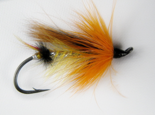 Orange Blossom Steelhead Fly