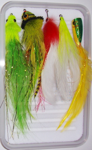 Big Boy Popper <br /> #2/0 - Green/Yellow