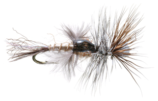 Poxyback Green Drake Emerger Fly