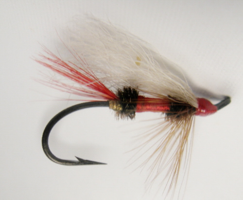 Royal Coachman Steelhead Fly