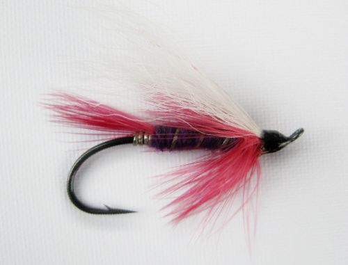 Surgeon General Steelhead Fly