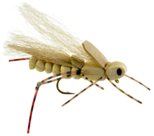 Sweetgrass Hopper