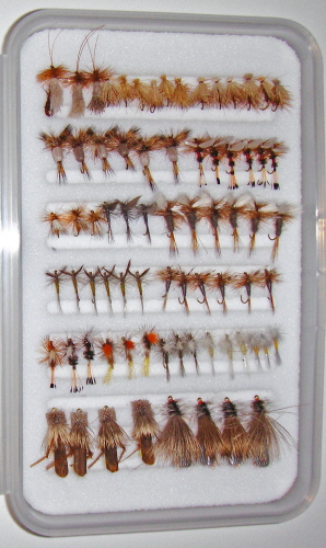 Trout Standard Fly Selection-40 Flies