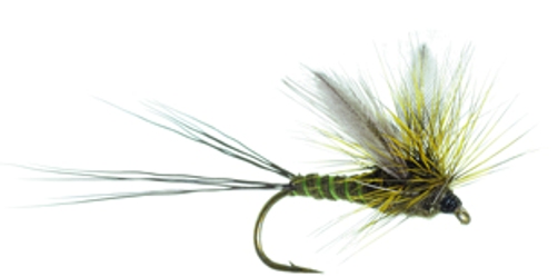 Umpqua Green Drake