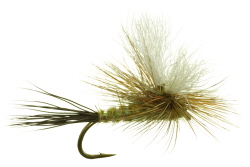 Green Drake Parawulff Dry Fly