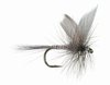 Blue Quill Dry Fly <br /> #18 - 0