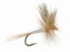 Light Cahill Dun Dry Fly <br /> #14 - Light