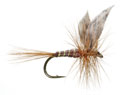 American March Brown Dry Fly <br /> #14 - March Brown