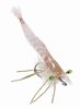 Supreme Hair Shrimp Bonefish Fly <br /> #2 - Tan