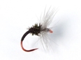 Takayama Sakasa Kebari - Reverse Hackle/Black with Red Hook