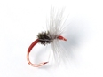 Takayama Sakasa Kebari - Reverse Hackle/Red with Red Hook