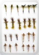 Insect Life Cycle Fly Selection -  Green Drake