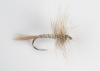 Gray Fox Dry Fly