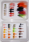 Great Lakes Salmon/Steelhead Master Fly Selection-75 Flies in Multiple Fly Boxes