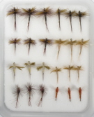 Insect Life Cycle Fly Selection - Hendrickson