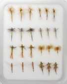 Insect Life Cycle Fly Selection - PMD
