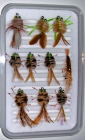 Permit Standard Fly Selection-10 Flies