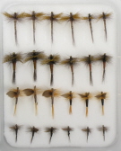Fly Family Selection - Quill Body Dry Flies