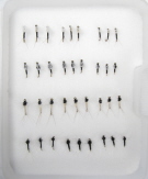Insect Life Cycle Fly Selection - Trico