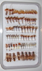 Trout Guide Fly Selection-78 Flies