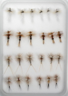 Fly Family Selection - Hairwing Wulff Dry Flies