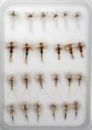 Fly Family Selection - Hairwing Wulff Dry Flies